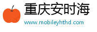 重庆安时海